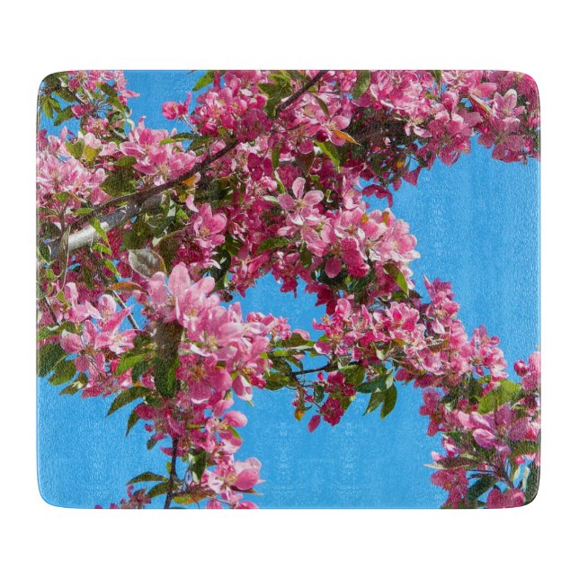 Blommande och blå himmel Foto (Framsidan)