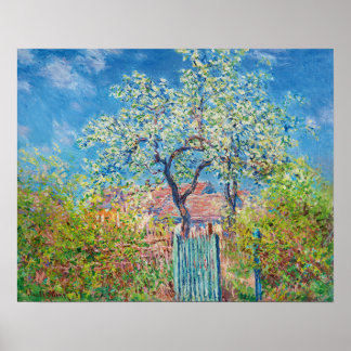 Blommande päronträd, Monet Poster