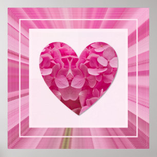 Blommande Rosa Hydrangea Blomma Inramad Hjärtforma Poster