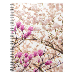 Blommande rosa lila magnolior vårblomma anteckningsbok med spiral