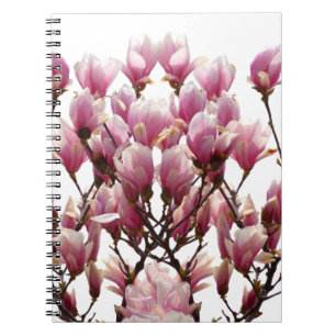 Blommande rosa magnolior vårblomma anteckningsbok med spiral
