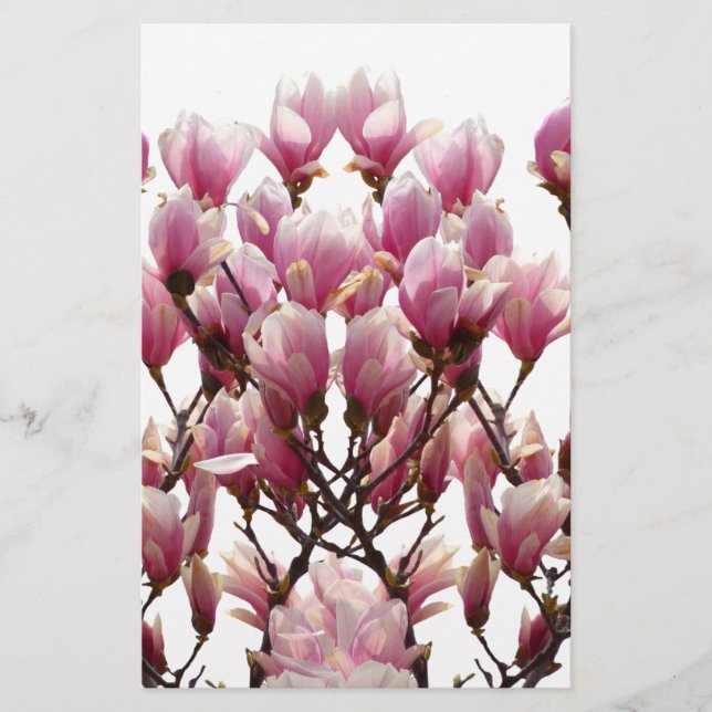Blommande rosa magnolior vårblomma brevpapper (Framsida)