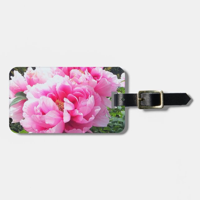 Blommande rosa peonior bagagebricka (Horisontell Framsida)
