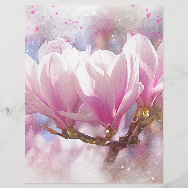 Blommande rosa purpur magnolia - vårblomma (Framsida)