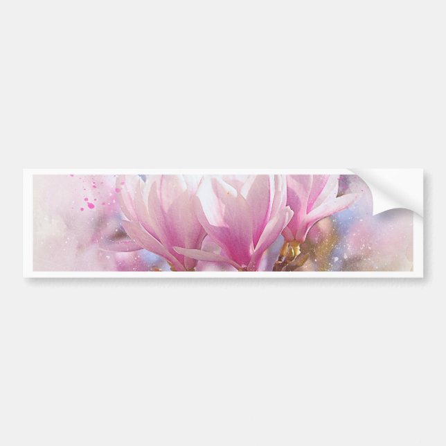 Blommande rosa purpur magnolia - vårblomma bildekal (Framsidan)