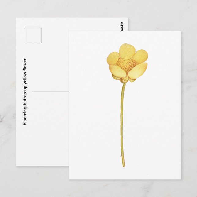 Blommande smörbloms gul blomma vykort (Fram/baksida)