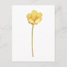 Blommande smörbloms gul blomma vykort