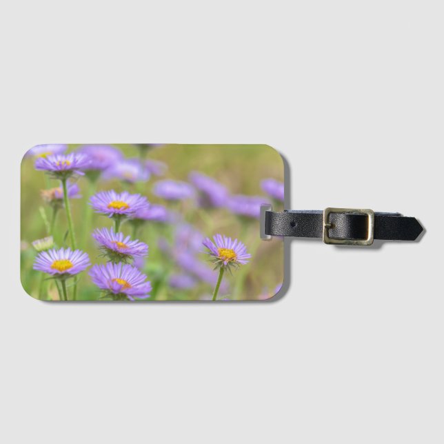 Blommande strandprästkragar bagagebricka (Framsida horisontal)