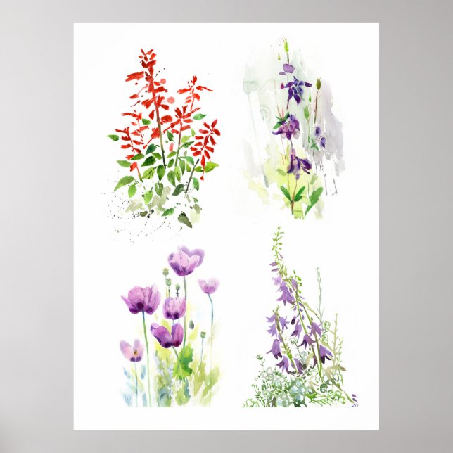 Blommande Trädgårds Kvartett  Fyra Botaniska Akvar Poster (Framsidan)