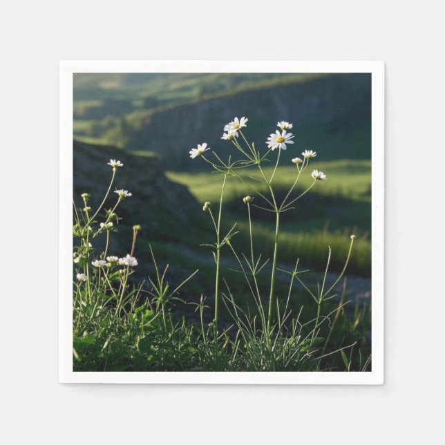 Blommande vit tusensköna natur landskap pappersservett (Framsidan)