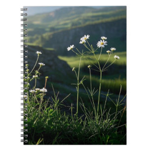 Blommande Vit Tusenskönas Natur Landskap Anteckningsbok