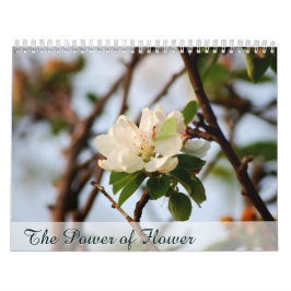Blommans Kraft Kalender