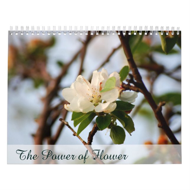 Blommans Kraft Kalender (Omslag)