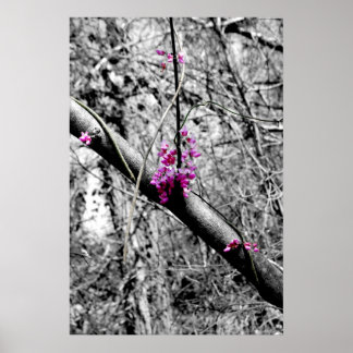 BLOMMAR 2 POSTER