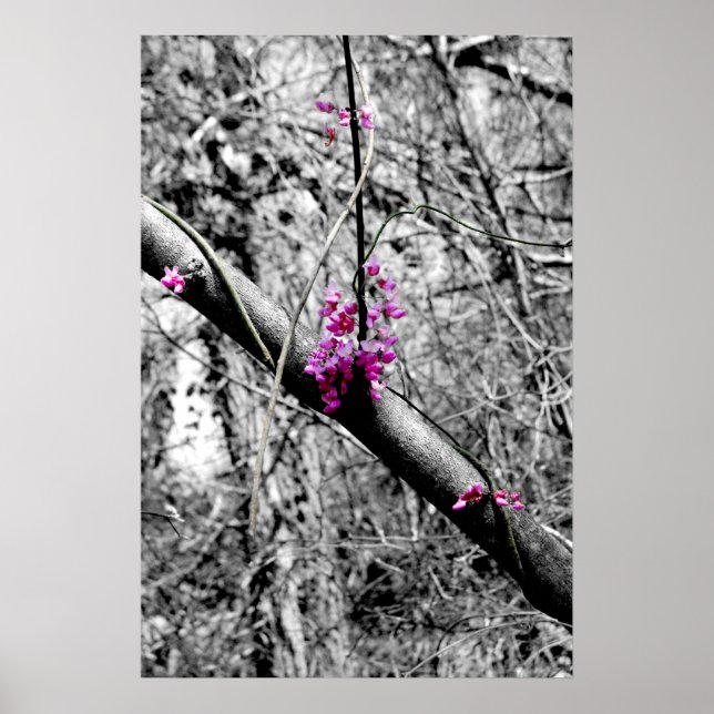 BLOMMAR 2 POSTER (Framsidan)