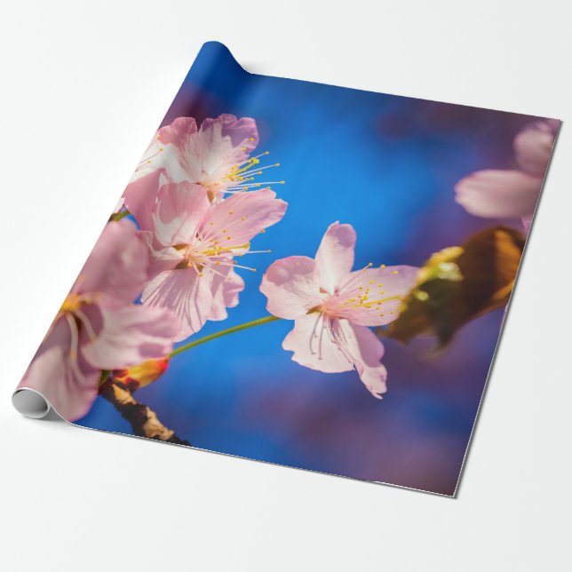 Blommar av ärade Sakura Presentpapper (Utrullad)