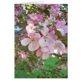 Blommar av blommar Crab-äpple Hälsningskort