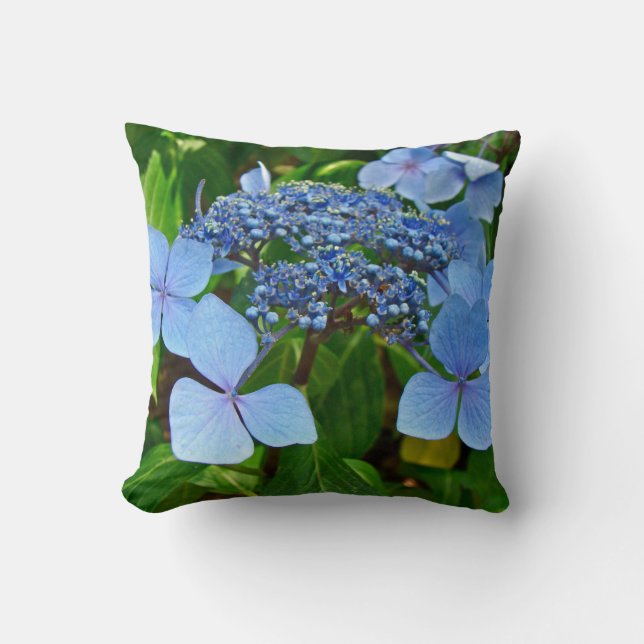 Blommar av Blue Snöre-Cap Hydrangea - Pillow Kudde (Framsida)