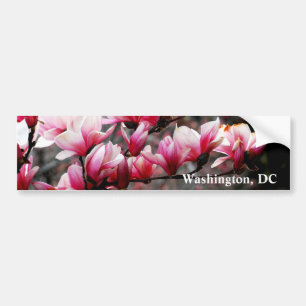 Blommar av den Georgetown universiteten, Bildekal