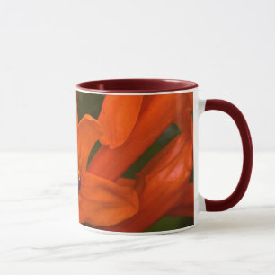 Blommar av granat mugg