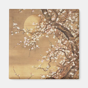 Blommar av japansk vintage plum i månljus magnet