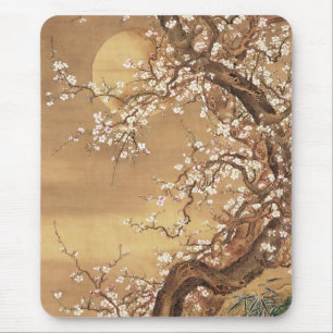 Blommar av japansk vintage plum i månljus musmatta