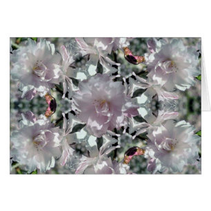 Blommar av Kaleidoskop Cherry OBS Kort