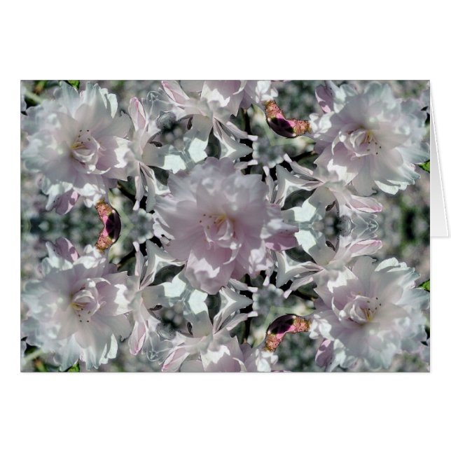 Blommar av Kaleidoskop Cherry OBS Kort (Framsidan Horizontal)