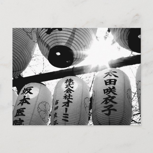 Blommar av körsbär: Hirano Shrine, Kyoto Vykort (Framsida)