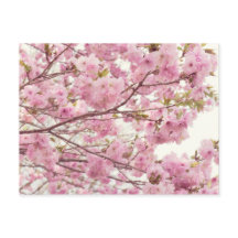 Blommar av körsbär i dubbla i Japan