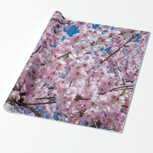 blommar av körsbär presentpapper