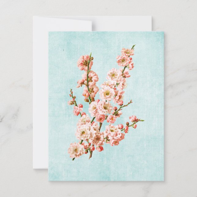 Blommar av plommon på Åldras Denim (Framsida)