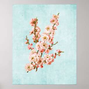 Blommar av plommon på Åldras Denim Poster