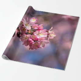 Blommar av Sakura Cherry i Rosa Presentpapper