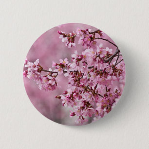 Blommar av Sakura Cherry Pastel Rosa Lagrar Knapp