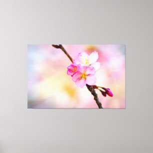Blommar av vackra Sakura Cherry Canvastryck