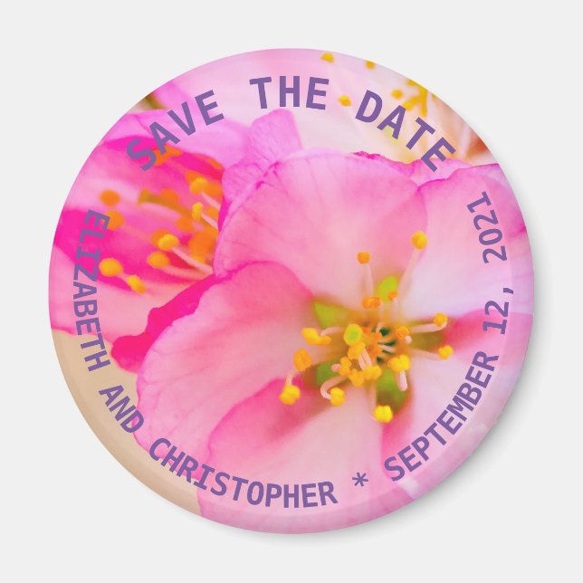 Blommar av vackra Sakura Cherry Magnet (Framsidan)