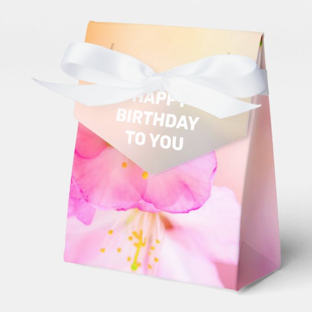 Blommar av vackra Sakura Cherry Presentaskar (Framsidan Sidan)