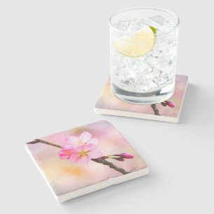 Blommar av vackra Sakura Cherry Stenunderlägg