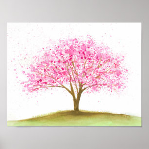 Blommar Blommar Cherry Träd Blommar av körsbär Poster