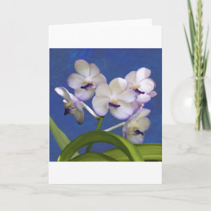 Blommar Blommigt Plantor färgstarka fotografier Helgkort