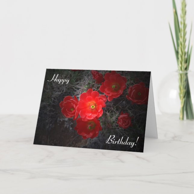 Blommar Cactus Birthday Card Kort (Framsida)