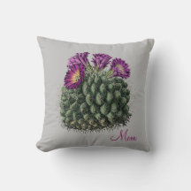 Blommar Cactus | MAMMA