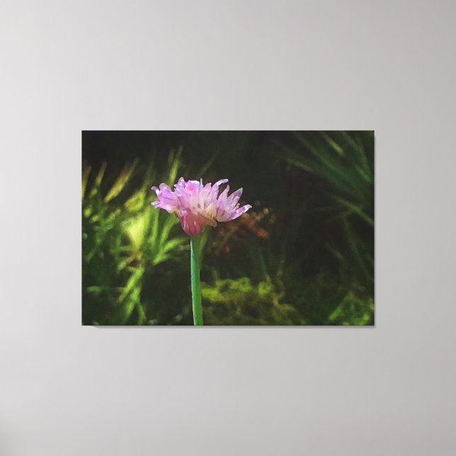 Blommar Chives och Palmetto Canvastryck (Framsida)