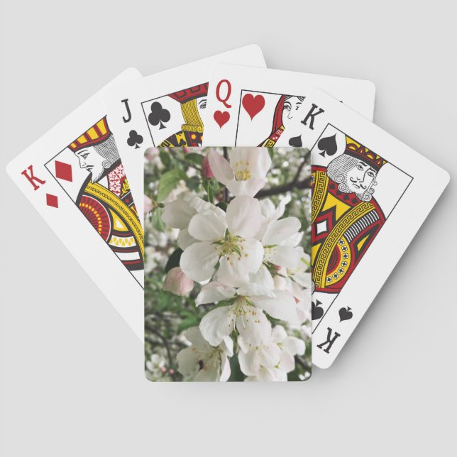 Blommar Crabapple Casinokort (Baksidan)