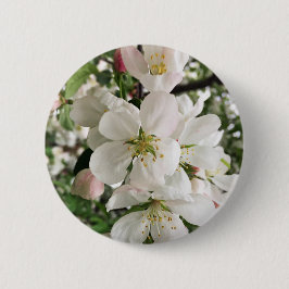 Blommar Crabapple Knapp