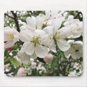 Blommar Crabapple Musmatta