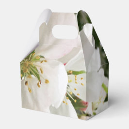 Blommar Crabapple Presentaskar