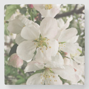 Blommar Crabapple Stenunderlägg