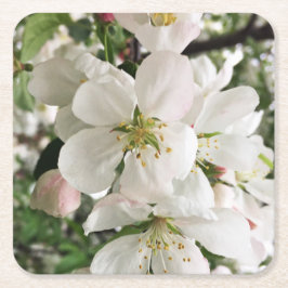 Blommar Crabapple Underlägg Papper Kvadrat